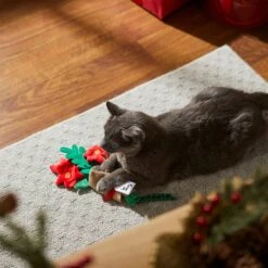 Frisco Flower Bouquet Plush Cat Toy With Catnip -Cat Supplies Sale 287395 PT3. AC SS1800 V1632774747