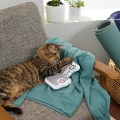 Frisco Scale & Message Bubble Plush Cat Toy With Catnip, 2 Count 5 Frisco Scale & Message Bubble Plush Cat Toy With Catnip, 2 Count -Cat Supplies Sale 288959 PT3. AC SS1800 V1638288401