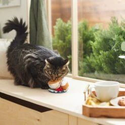 Frisco Brunch Teacup Plush Cat Toy With Catnip -Cat Supplies Sale 297292 PT2. AC SS1800 V1642088843