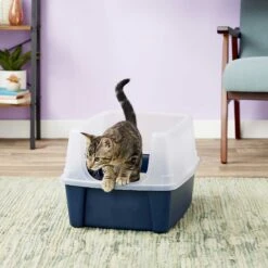 Frisco Plastic Litter Scooper With Caddy & IRIS USA Open Top Litter Box With Scatter Shield -Cat Supplies Sale 298166 PT6. AC SS1800 V1623202669