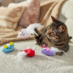 Frisco Valentine Heart Mice Plush Cat Toy With Catnip -Cat Supplies Sale 298954 PT3. AC SS1800 V1701364814