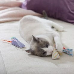 Frisco Spring Party Hat Kickers Cat Toy With Catnip -Cat Supplies Sale 306960 PT3. AC SS1800 V1703184746