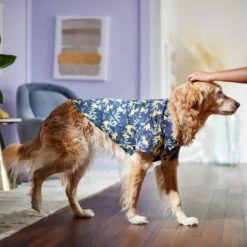 Disney Lion King's Simba Jungle Dog & Cat Shirt -Cat Supplies Sale 311842 PT8. AC SS1800 V1643323713