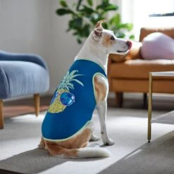 Frisco Pineapple Guy Dog & Cat T-Shirt -Cat Supplies Sale 312040 PT8. AC SS1800 V1644466024