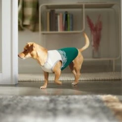 Frisco Tropical Palm Dog & Cat T-Shirt -Cat Supplies Sale 312072 PT8. AC SS1800 V1644425897