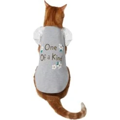 Frisco One Of A Kind Dog & Cat T-Shirt -Cat Supplies Sale 312080 PT2. AC SS1800 V1644424427