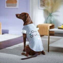 Frisco One Of A Kind Dog & Cat T-Shirt -Cat Supplies Sale 312080 PT5. AC SS1800 V1673304060