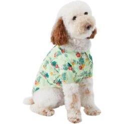 Frisco Hawaiian Floral Camp Dog & Cat Shirt 12 Frisco Hawaiian Floral Camp Dog & Cat Shirt -Cat Supplies Sale 312168 PT3. AC SS1800 V1673304452