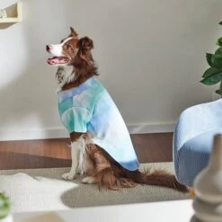 Frisco Blue Tie Dye Dog & Cat Shirt -Cat Supplies Sale 312200 PT8. AC SS1800 V1644880951