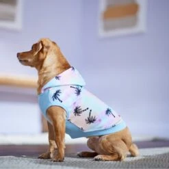 Frisco Palm Tree Dog & Cat Hoodie -Cat Supplies Sale 312241 PT7. AC SS1800 V1673303005