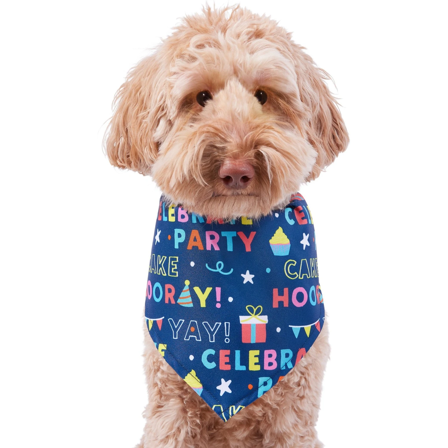 Frisco Celebration Dog & Cat Bandana 1 Frisco Celebration Dog & Cat Bandana