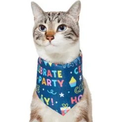 Frisco Celebration Dog & Cat Bandana 9 Frisco Celebration Dog & Cat Bandana -Cat Supplies Sale 315133 PT2. AC SS1800 V1646439780