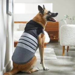 Frisco Gray Striped Dog & Cat Hoodie -Cat Supplies Sale 317305 PT8. AC SS1800 V1646437959