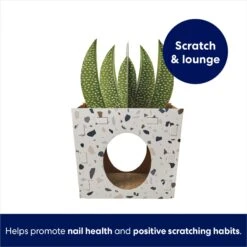 Frisco Potted Succulent Cardboard Cat House -Cat Supplies Sale 317723 PT2. AC SS1800 V1689342085