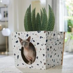 Frisco Potted Succulent Cardboard Cat House -Cat Supplies Sale 317723 PT4. AC SS1800 V1688677260