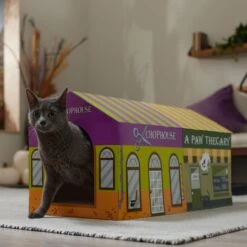 Frisco Halloween A-Paw-Thecary & Chop House Cardboard Cat House With Catnip -Cat Supplies Sale 344002 PT3. AC SS1800 V1657657029