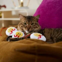 Frisco Halloween Haunted Deviled Eggs Plush Cat Toy With Catnip -Cat Supplies Sale 344058 PT3. AC SS1800 V1657657030