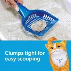 Fresh Step Febreze Freshness Gain Scented Clumping Clay Cat Litter -Cat Supplies Sale 346442 PT2. AC SS1800 V1694463360