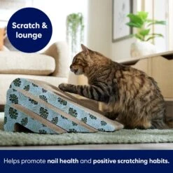 Frisco Nesting Cat Scratcher Toy With Catnip, Tropical Paradise -Cat Supplies Sale 347215 PT3. AC SS1800 V1659699261