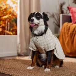 Frisco Tweed Weave Ruffle Skirt Dog & Cat Dress -Cat Supplies Sale 353649 PT6. AC SS1800 V1660750168