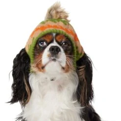 Frisco Striped Poof Dog & Cat Knitted Hat -Cat Supplies Sale 353793 PT2. AC SS1800 V1659008241