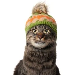 Frisco Striped Poof Dog & Cat Knitted Hat -Cat Supplies Sale 353793 PT3. AC SS1800 V1659011014