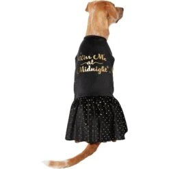 Frisco Kiss Me At Midnight Dog & Cat Dress -Cat Supplies Sale 358044 PT2. AC SS1800 V1660760387