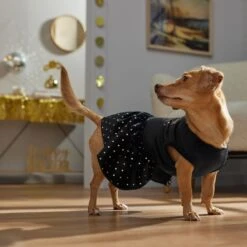 Frisco Kiss Me At Midnight Dog & Cat Dress -Cat Supplies Sale 358044 PT7. AC SS1800 V1661799831