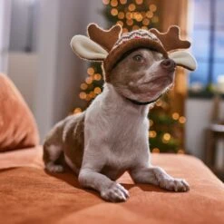 Frisco Antler Fair Isle Dog & Cat Hat -Cat Supplies Sale 358313 PT4. AC SS1800 V1661798696