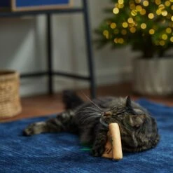 Frisco Holiday Santa's List Plush & Feather Cat Toy With Catnip -Cat Supplies Sale 360895 PT3. AC SS1800 V1661874361