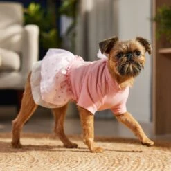 Frisco Tulle Hearts Dog & Cat Dress -Cat Supplies Sale 371070 PT8. AC SS1800 V1700690505
