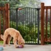Frisco Outdoor Steel Arch Extra Tall Auto-Close Dog Gate