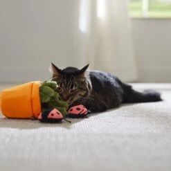 Frisco Spring Potted Plant And Ladybugs Interactive Plush Cat Toy With Catnip -Cat Supplies Sale 541542 PT3. AC SS1800 V1671814448
