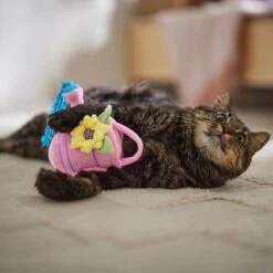 Frisco Spring Watering Can Plush Cat Toy With Catnip -Cat Supplies Sale 541558 PT3. AC SS1800 V1671814448