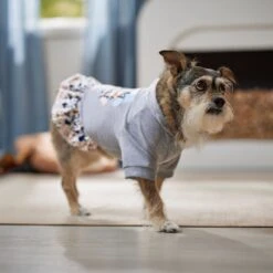 Frisco Stay Wild Dog & Cat Hoodie -Cat Supplies Sale 555366 PT6. AC SS1800 V1674829061