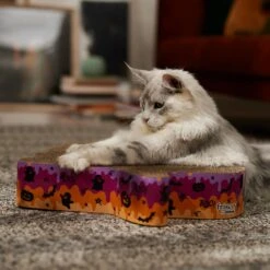 Frisco Halloween Ghost Swirl Scratcher Cat Toy With Catnip -Cat Supplies Sale 668230 PT3. AC SS1800 V1689343997