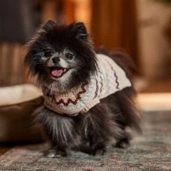 Frisco Sherpa Lined Fairisle Dog & Cat Sweater -Cat Supplies Sale 718422 PT7. AC SS1800 V1692378098
