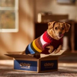 Frisco Chunky Knit Multi-Stripe Dog & Cat Sweater -Cat Supplies Sale 718662 PT7. AC SS1800 V1692378219