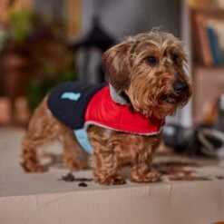 Frisco Medium Weight Retro Colorblock Mixed Media Dog & Cat Coat -Cat Supplies Sale 719462 PT7. AC SS1800 V1692379031