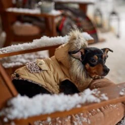 Frisco Heavy Weight Matte Quilted Dog & Cat Parka With Cozy Fleece Lining -Cat Supplies Sale 719654 PT7. AC SS1800 V1692376037