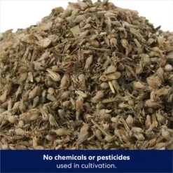 Frisco Natural Catnip & Hartz Cattraction Silver Vine & Catnip Gator Cat Scratcher Toy, Color Varies -Cat Supplies Sale 737470 PT3. AC SS1800 V1683212146