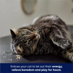 Frisco Natural Catnip & Hartz Cattraction Silver Vine & Catnip Gator Cat Scratcher Toy, Color Varies -Cat Supplies Sale 737470 PT4. AC SS1800 V1683212147