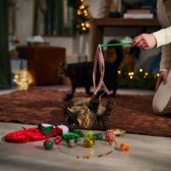 Frisco Holiday Cozy Christmas Sack Variety Pack Cat Toy With Catnip -Cat Supplies Sale 740054 PT3. AC SS1800 V1694812461