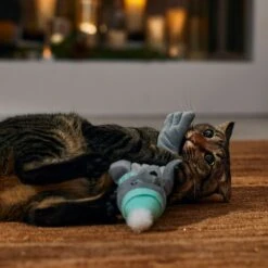 Frisco Holiday Interactive Flopping Seal Electronic Cat Toy With Catnip -Cat Supplies Sale 740102 PT4. AC SS1800 V1695043876