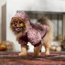 Frisco Textured Wubby 2-Tone Fleece Dog & Cat Hoodie 16 Frisco Textured Wubby 2-Tone Fleece Dog & Cat Hoodie -Cat Supplies Sale 742406 PT7. AC SS1800 V1692378336