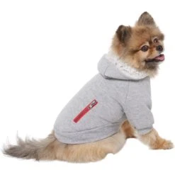 Frisco Sweatshirt Fleece Dog & Cat Hoodie With Sherpa Lining -Cat Supplies Sale 742550 PT2. AC SS1800 V1703194378