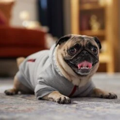 Frisco Sweatshirt Fleece Dog & Cat Hoodie With Sherpa Lining -Cat Supplies Sale 742550 PT7. AC SS1800 V1692378690