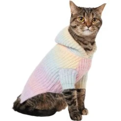 Frisco Soft Multi Stripe Ombre Dog & Cat Hooded Sweater