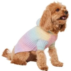 Frisco Soft Multi Stripe Ombre Dog & Cat Hooded Sweater -Cat Supplies Sale 742838 PT2. AC SS1800 V1703194379