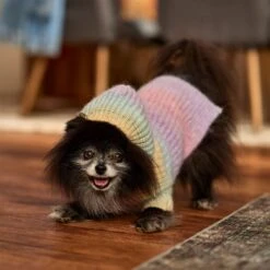 Frisco Soft Multi Stripe Ombre Dog & Cat Hooded Sweater -Cat Supplies Sale 742838 PT7. AC SS1800 V1692376365